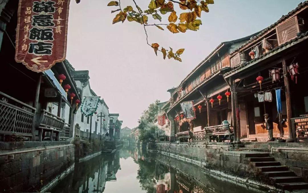 营救小乌龟